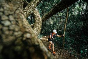 BIB: 
                            <button type="button" onclick="openModal(25705072)" class="btn btn-primary btn-sm float-right btn-popup" data-toggle="modal" data-target=".modal-high-quality">
                        <i class="fas fa-shopping-cart"></i> Add to Cart
                    </button>
                                            <button type="button" onclick="isThisMe(25705072, true)" class="btn btn-success btn-sm float-right btn-popup btn-isme hidden" data-toggle="tooltip" data-placement="bottom" title="นี่คือรูปของคุณใช่ไหม คลิกที่นี่เพื่อเอาเข้าอัลบั้ม">
                        <i class="fas fa-plus"></i> Add to album
                    </button>
                    <button type="button" onclick="isThisMe(25705072, false)" class="btn btn-warning btn-sm float-right btn-popup btn-isnotme hidden">
                        <i class="fas fa-ban"></i> Remove from album
                    </button>